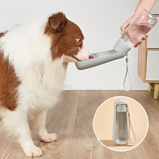 Gourde chien | 2 - en - 1 avec abreuvoir intégré - Gamelle et Cie pour Chien