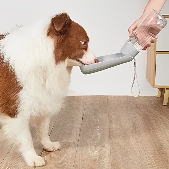 Gourde chien | 2 - en - 1 avec abreuvoir intégré - Gamelle et Cie pour Chien