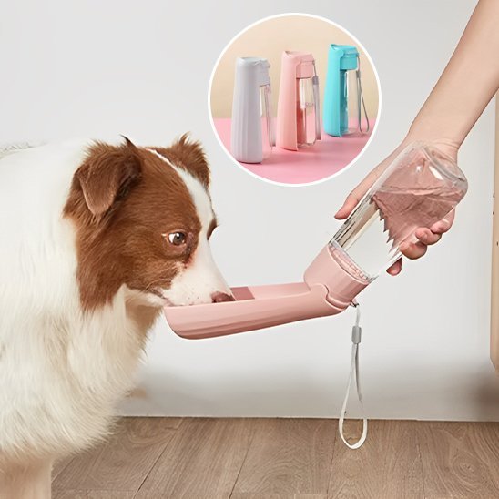 Gourde chien | 2 - en - 1 avec abreuvoir intégré - Gamelle et Cie pour Chien