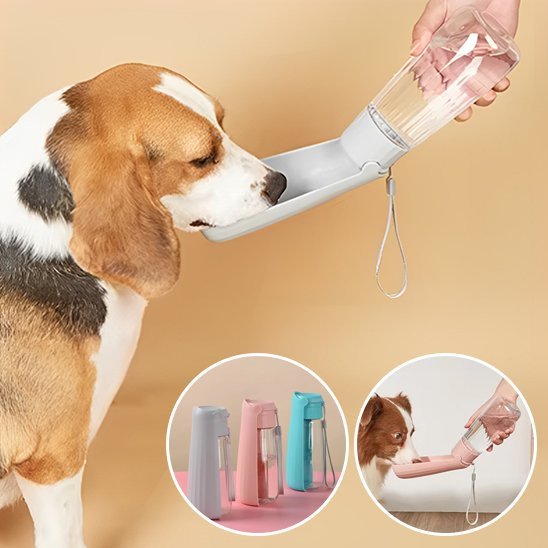 Gourde chien | 2 - en - 1 avec abreuvoir intégré - Gamelle et Cie pour Chien