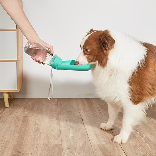 Gourde chien | 2 - en - 1 avec abreuvoir intégré - Gamelle et Cie pour Chien