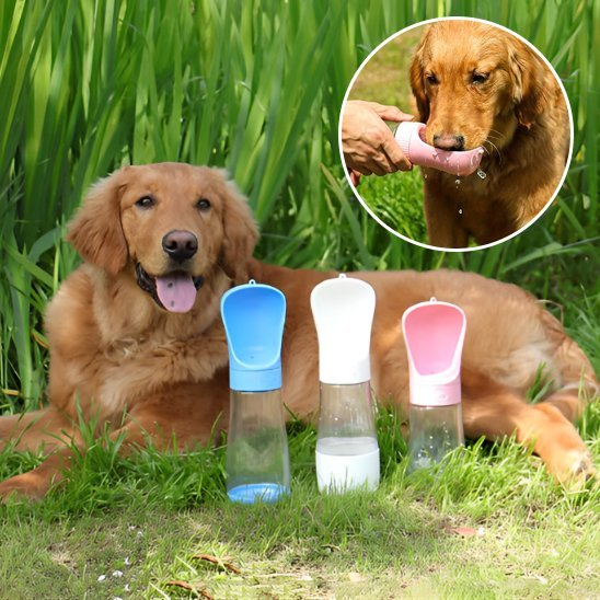 Gourde chien | Nomad - Gamelle et Cie pour Chien