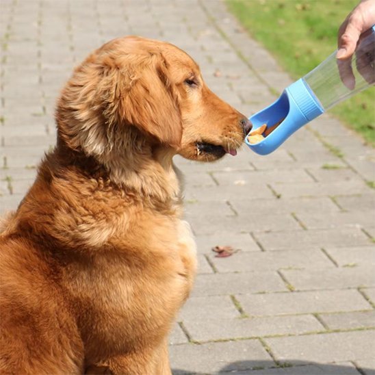 Gourde chien | Nomad - Gamelle et Cie pour Chien