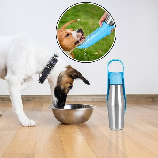 Gourde chien | Nomad - Gamelle et Cie pour Chien
