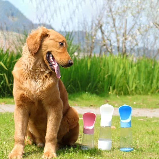 Gourde chien | Nomad - Gamelle et Cie pour Chien