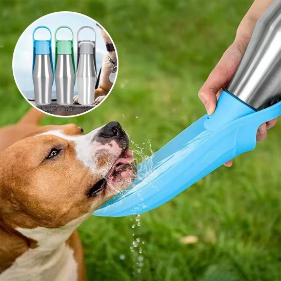Gourde chien | Nomad - Gamelle et Cie pour Chien