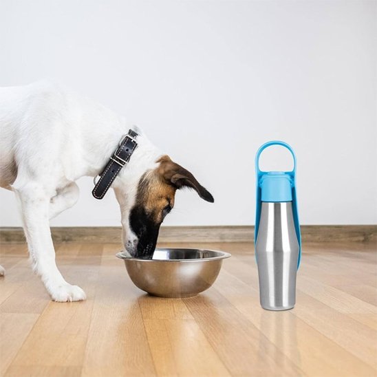 Gourde chien | Nomad - Gamelle et Cie pour Chien