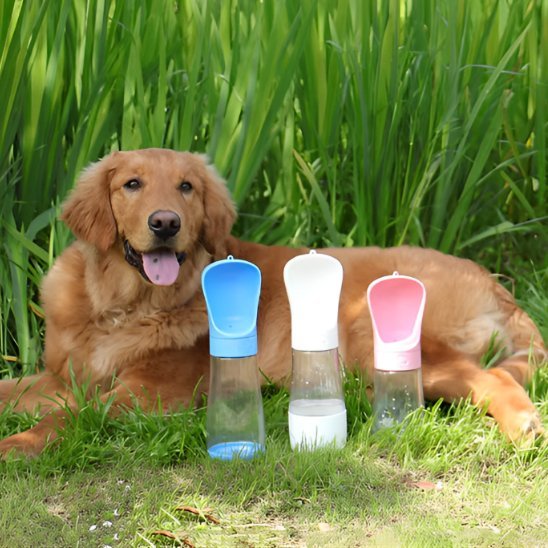 Gourde chien | Nomad - Gamelle et Cie pour Chien