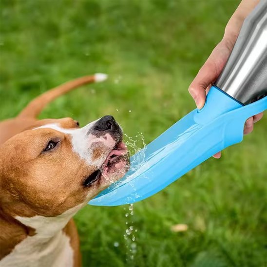 Gourde chien | Nomad - Gamelle et Cie pour Chien