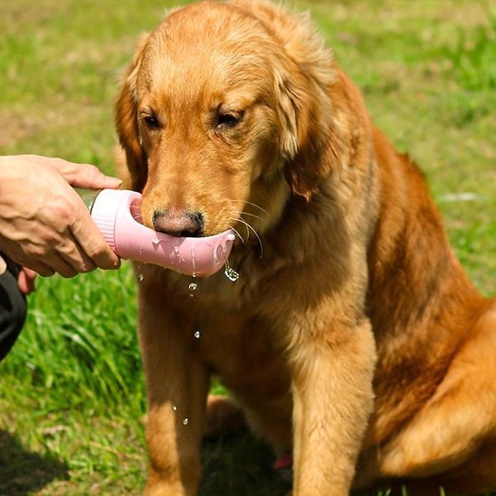 Gourde chien | Nomad - Gamelle et Cie pour Chien