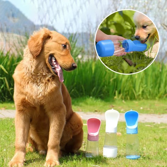 Gourde chien | Nomad - Gamelle et Cie pour Chien