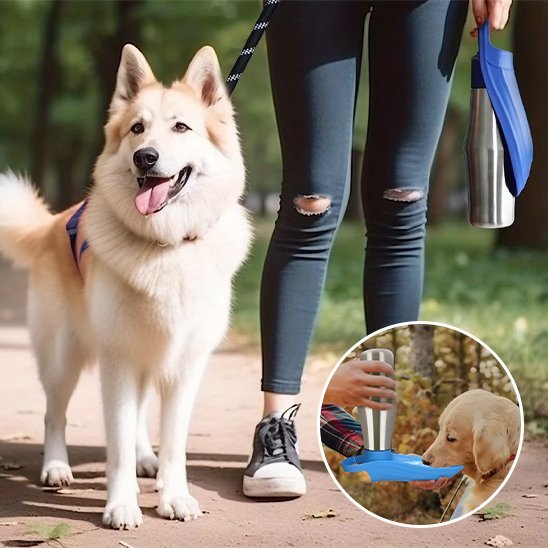 Gourde chien | Nomad - Gamelle et Cie pour Chien