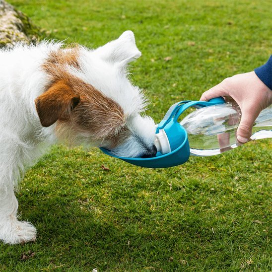 Gourde chien | Portable 2 - en - 1 - Gamelle et Cie pour Chien