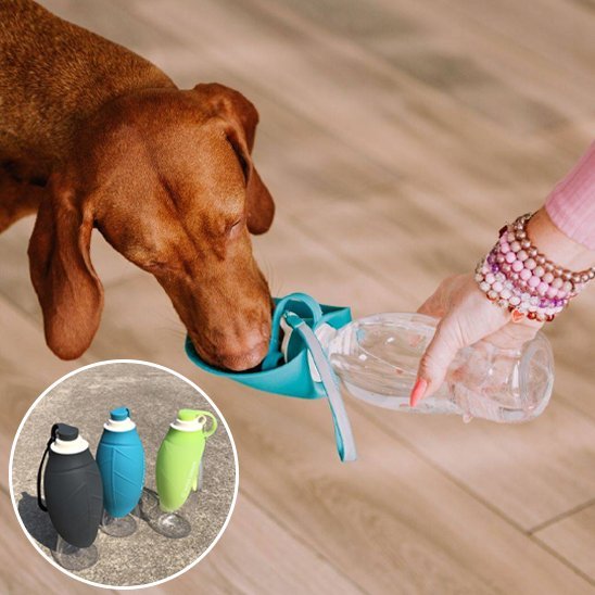 Gourde chien | Portable 2 - en - 1 - Gamelle et Cie pour Chien