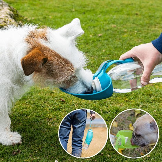 Gourde chien | Portable 2 - en - 1 - Gamelle et Cie pour Chien