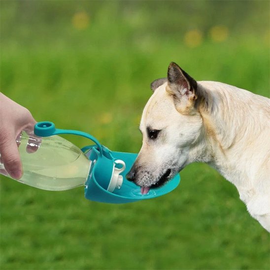 Gourde chien | Portable 2 - en - 1 - Gamelle et Cie pour Chien