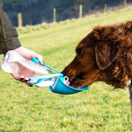 Gourde chien | Portable 2 - en - 1 - Gamelle et Cie pour Chien