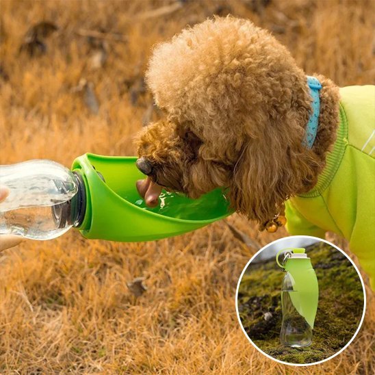 Gourde chien | Portable 2 - en - 1 - Gamelle et Cie pour Chien