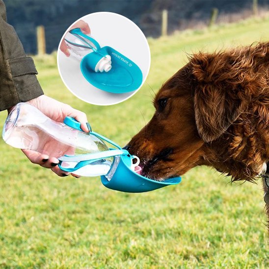 Gourde chien | Portable 2 - en - 1 - Gamelle et Cie pour Chien