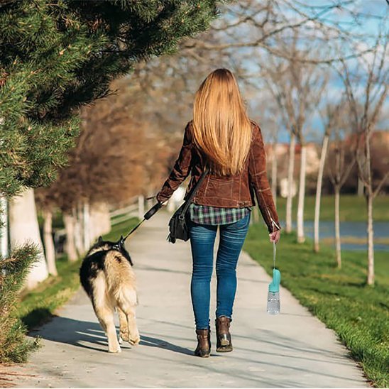 Gourde pour chien | 2 - en - 1 Compact - Gamelle et Cie pour Chien