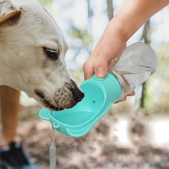 Gourde pour chien | 2 - en - 1 Compact - Gamelle et Cie pour Chien
