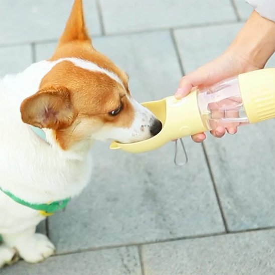 Gourde pour chien | Design Chat Anti - Fuites - Gamelle et Cie pour Chien