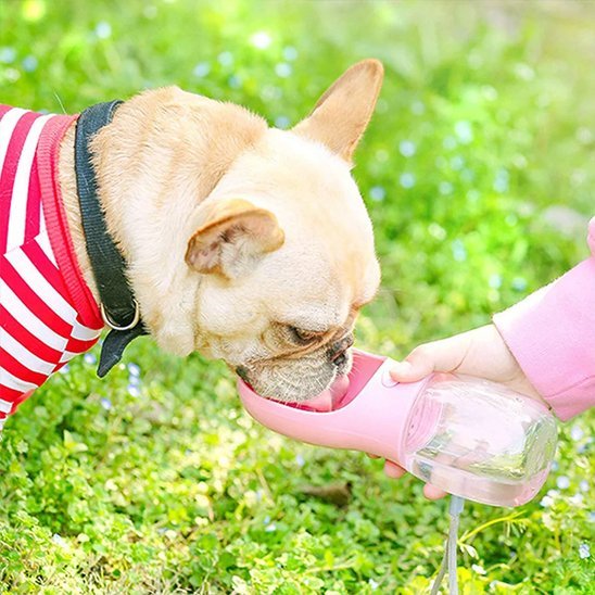 Gourde pour chien | DuoTravel - Gamelle et Cie pour Chien
