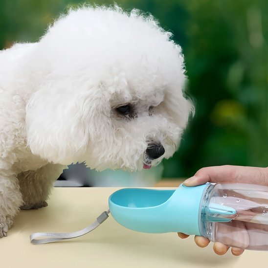Gourde pour chien | DuoTravel - Gamelle et Cie pour Chien
