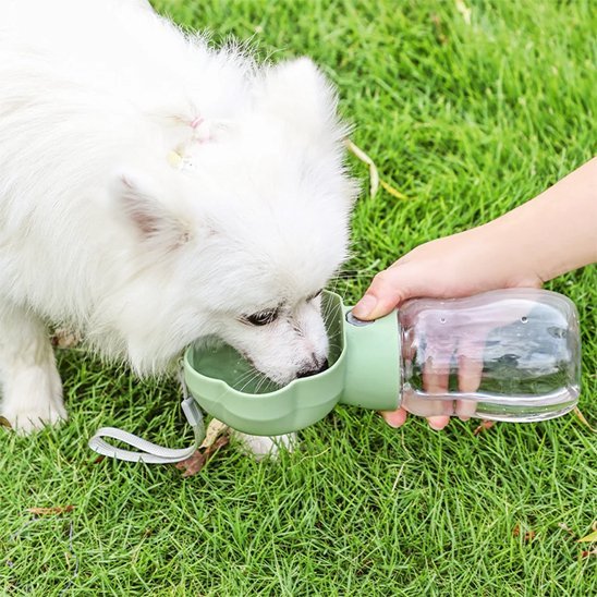 Gourde pour Chien | Nomad 2 - en - 1 - Gamelle et Cie pour Chien