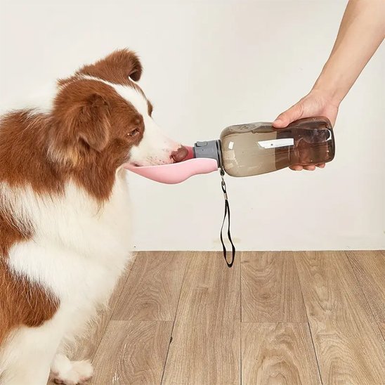 Gourde pour chien | Portative 2 - en - 1 - Gamelle et Cie pour Chien