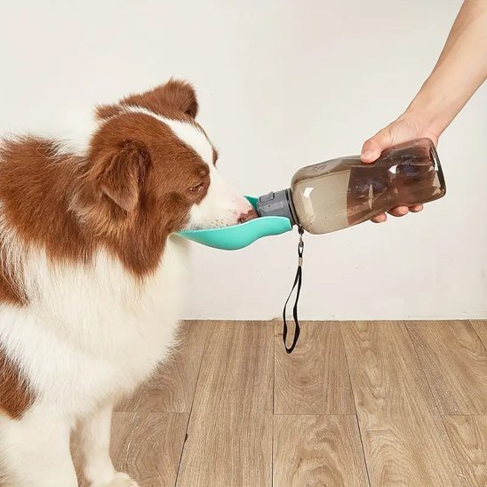 Gourde pour chien | Portative 2 - en - 1 - Gamelle et Cie pour Chien