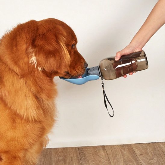 Gourde pour chien | Portative 2 - en - 1 - Gamelle et Cie pour Chien