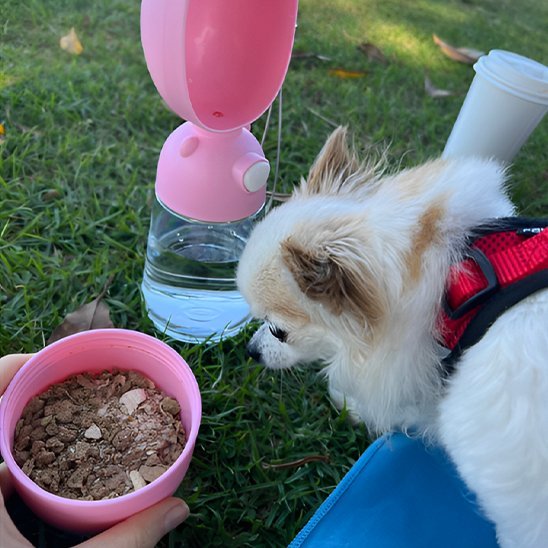 Gourde pour chien | TrekPaws - Gamelle et Cie pour Chien