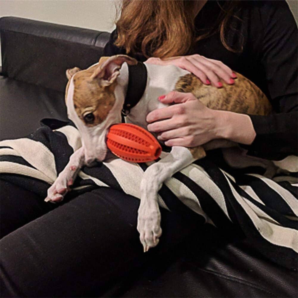 Jouet Interactif pour Chien - ChewBounceBall™ - Rouge - Gamelle et Cie pour Chien