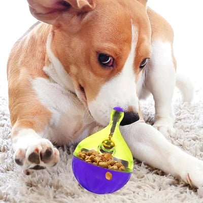 Jouet Interactif pour Chien - FeedBall™ - Toupie - Gamelle et Cie pour Chien