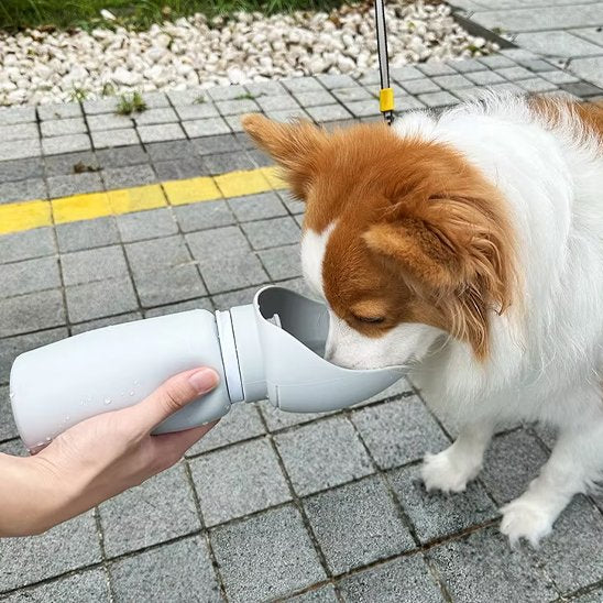 Gourde chien | Portable 2-en-1