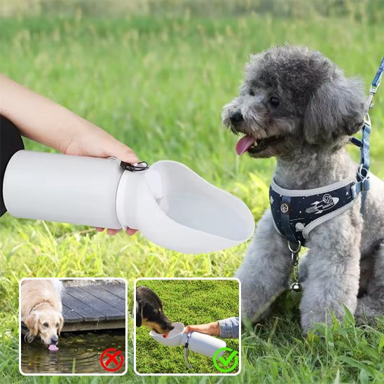 Gourde chien | Portable 2-en-1
