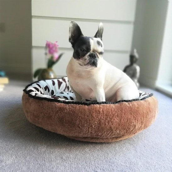 Panier pour chien | Comfort Design