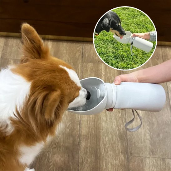 Gourde chien | Portable 2-en-1