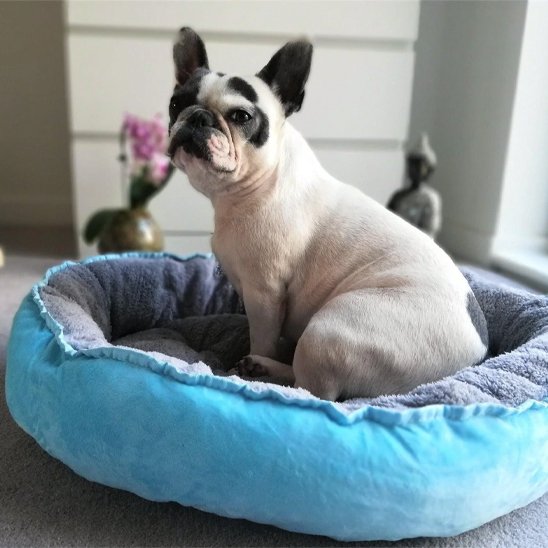 Panier pour chien | Comfort Design
