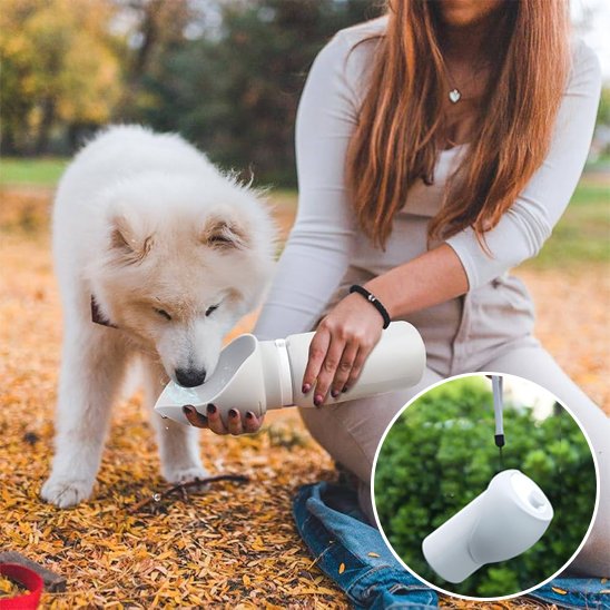 Gourde chien | Portable 2-en-1