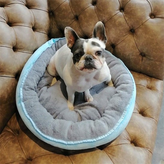 Panier pour chien | Comfort Design