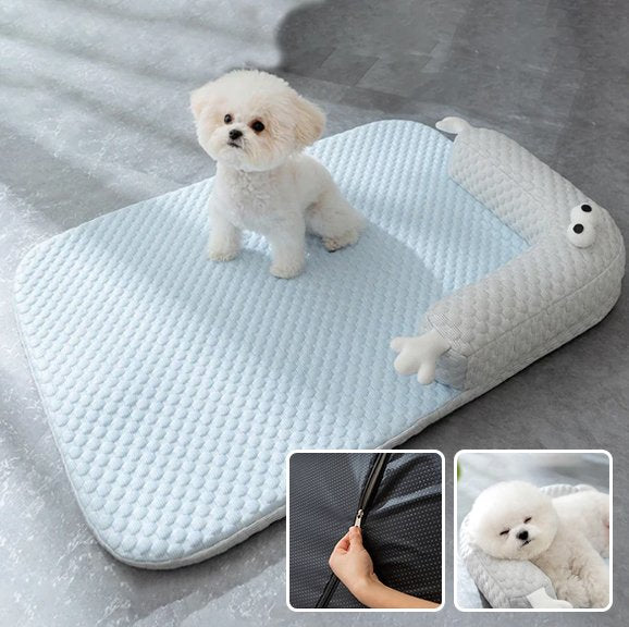 Coussin chien | Confort Lavable