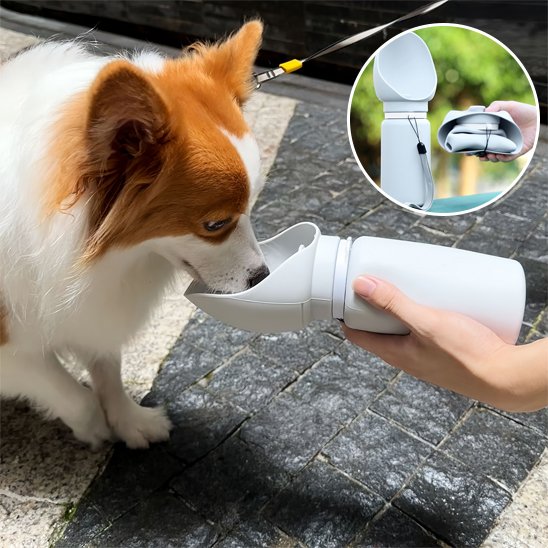 Gourde chien | Portable 2-en-1
