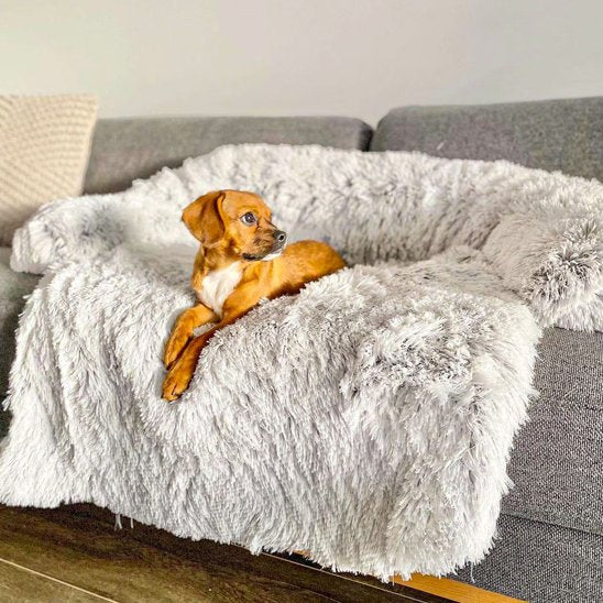 Lit pour chien | Orthopédique
