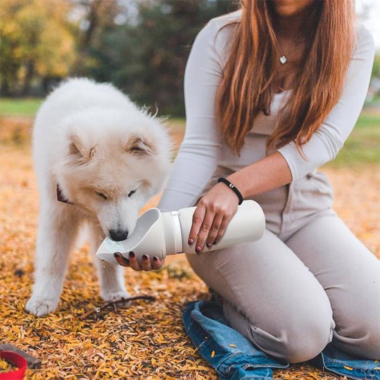 Gourde chien | Portable 2-en-1