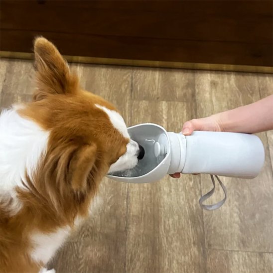 Gourde chien | Portable 2-en-1