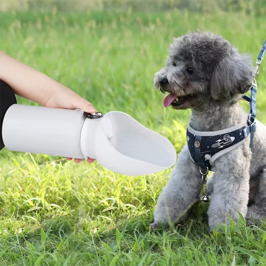 Gourde chien | Portable 2-en-1