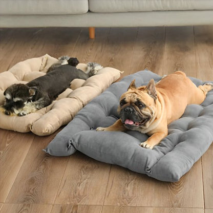 Deux chiens allongés chacun sur un coussin chien comfort durable