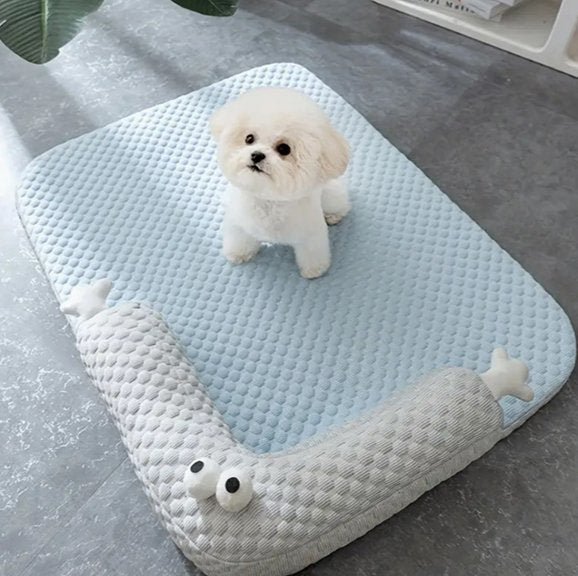 Chien à quatre pattes sur Coussin chien  bleu - Confort Lavable - Gamelle et Cie pour Chien